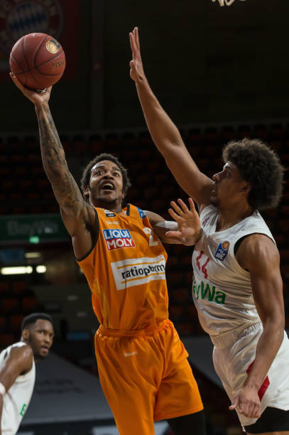 威尔逊在比 威尔逊在比